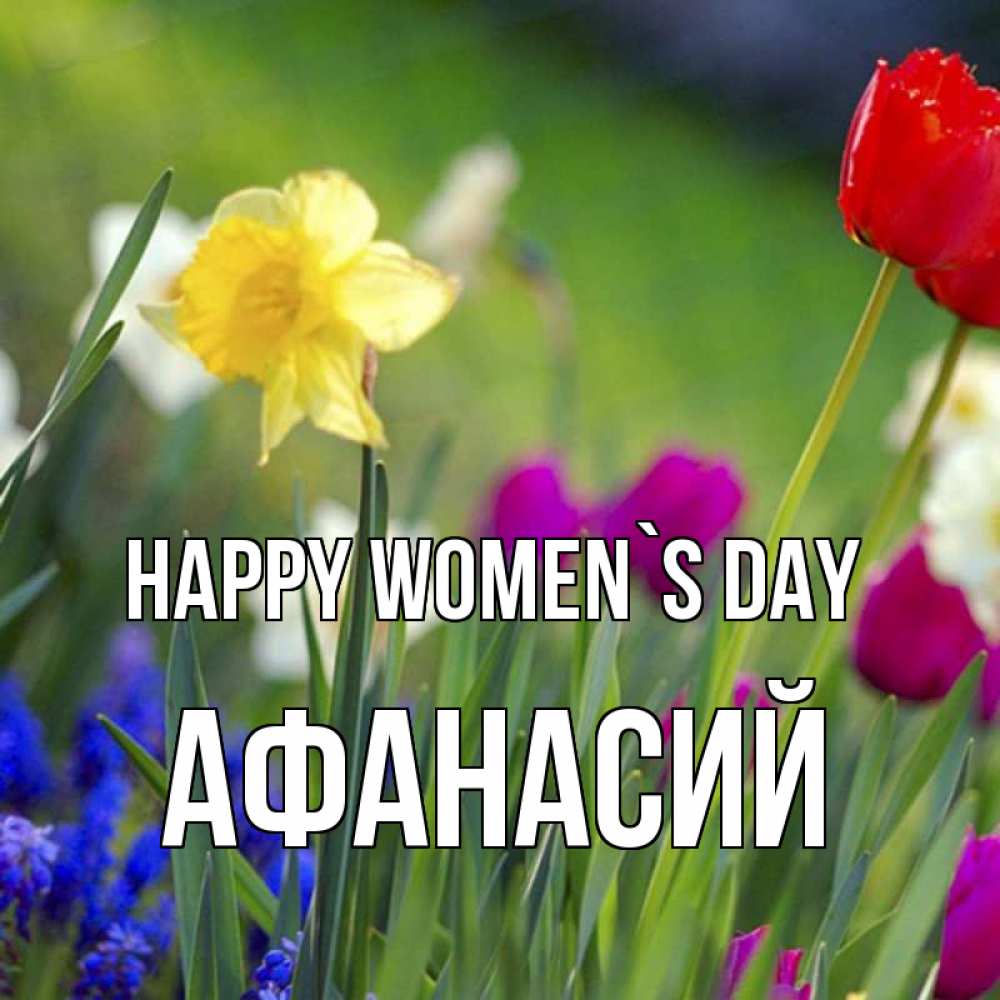 Greetings card с именем, Афанасий happy women`s day международный женский день 3 Greetings with text for free download 